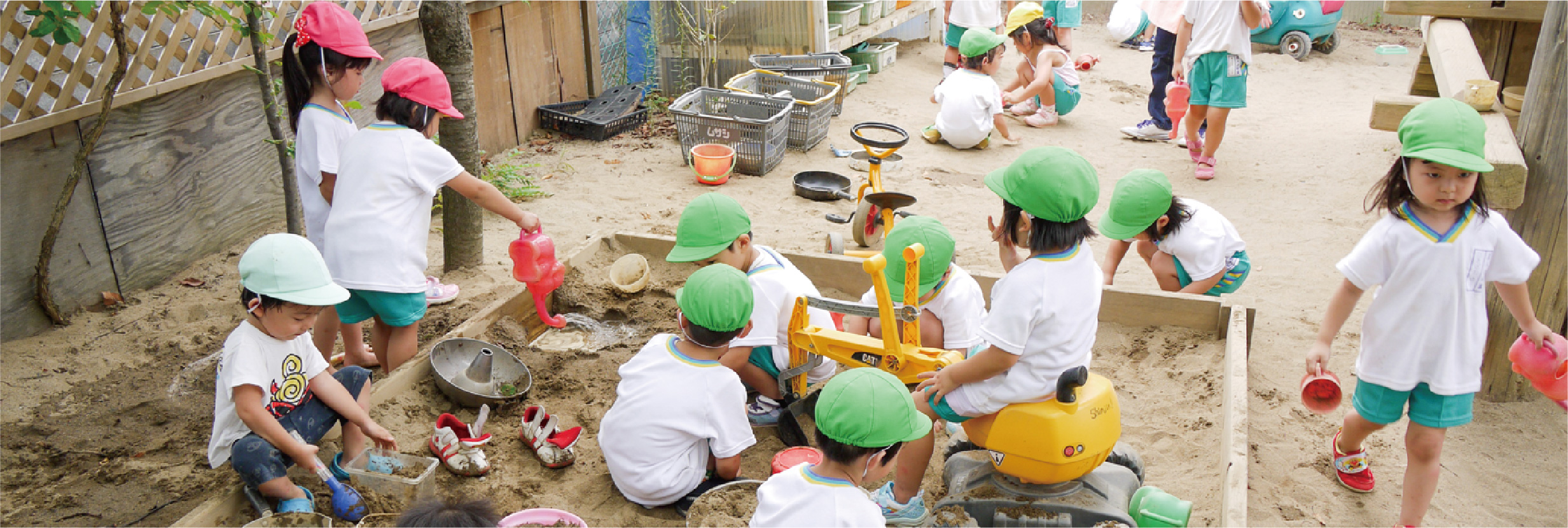 調査・研究/出版のイメージ画像